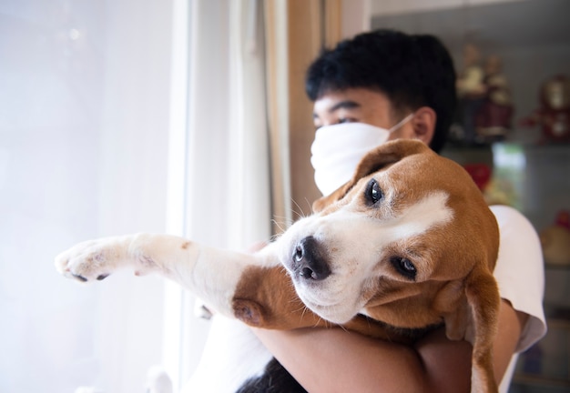 ビーグル犬とその飼い主は一日中家の中で遊んでいます