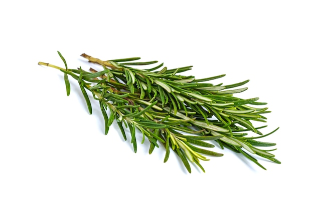 A beam of green rosemary branches isolated.