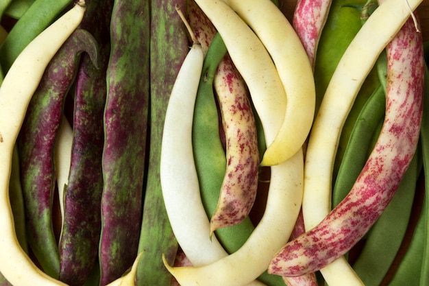 Baccelli di fagioli di diversi tipi e colori