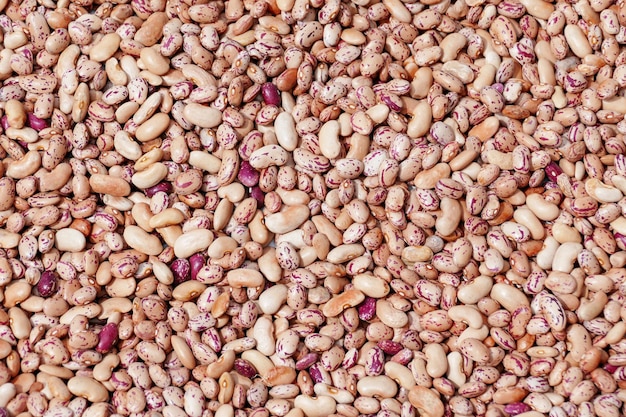 Photo bean seeds