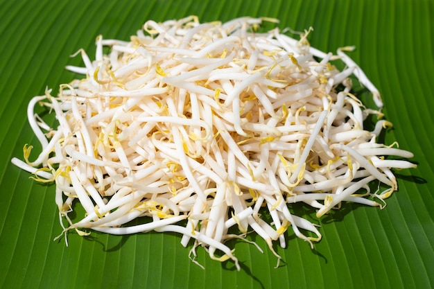 Bean sprouts on banana leaf