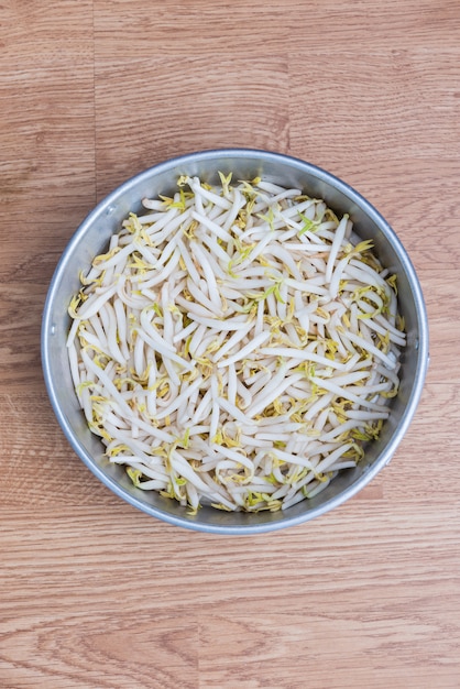 Bean sprouts in metal enamelware