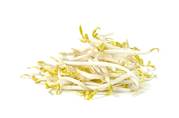 Photo bean sprouts isolated on white background