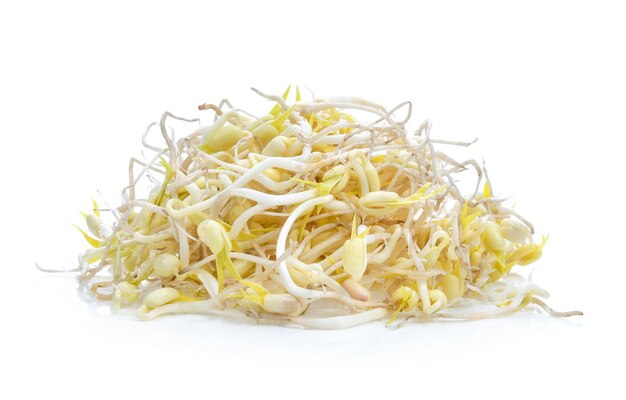 Bean Sprouts on White Background