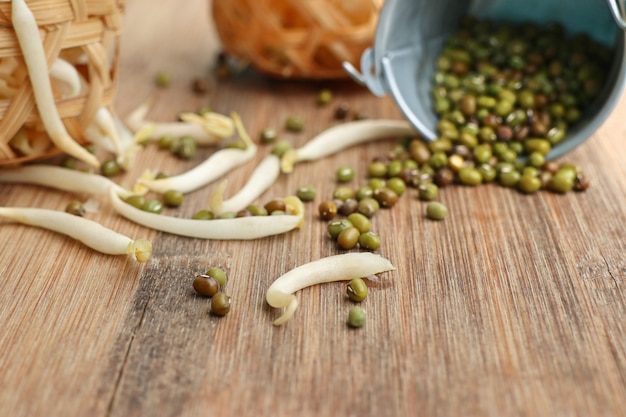 Bean sprouts with seed