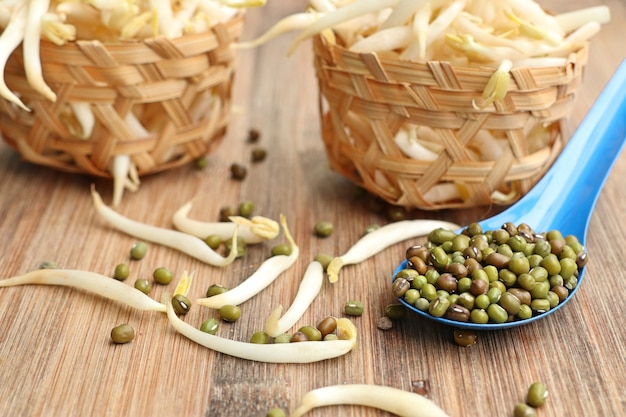 Bean sprouts with seed