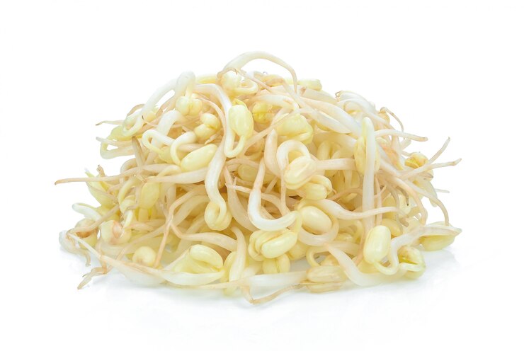 콩나물