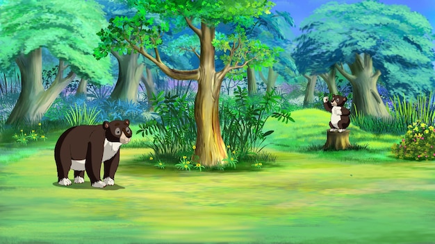 Orso in un'illustrazione della foresta