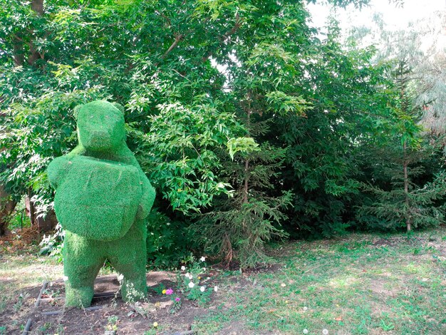 Bear from of artificial lawn grass topiary figure in Ukraine street