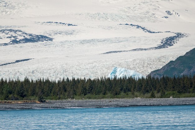 Bear glacier entra nella baia vicino a seward in alaska