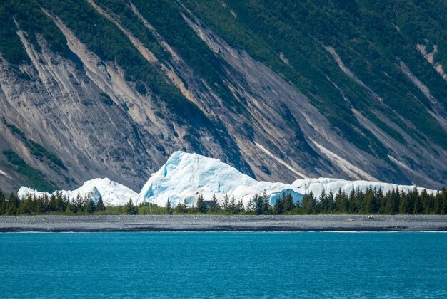 アラスカのスワード近くの湾に入るベア氷河