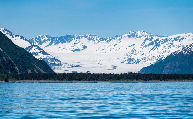 Bear Glacier komt de baai binnen bij Seward in Alaska