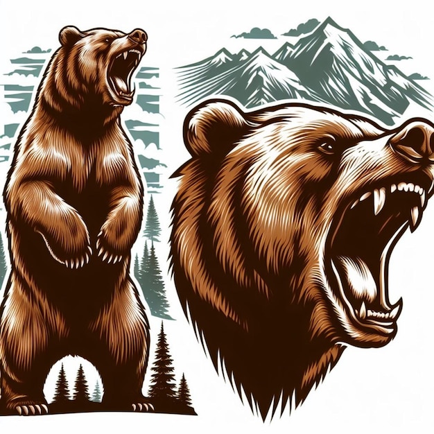 Photo bear illustration