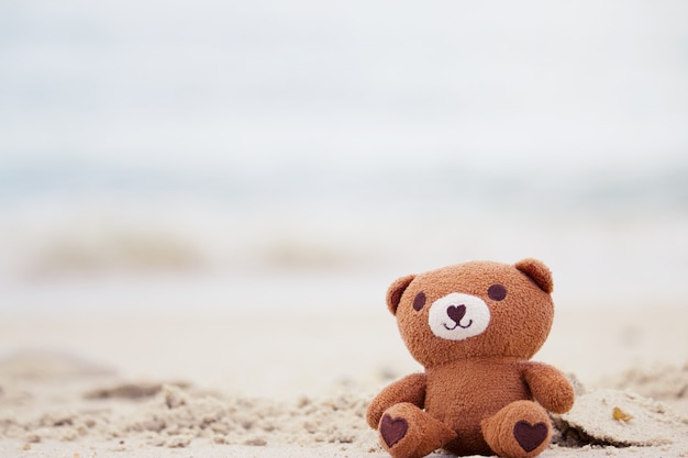 Bear is sitting at the beach.