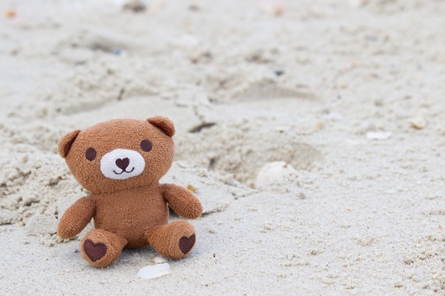 Bear is sitting at the beach.