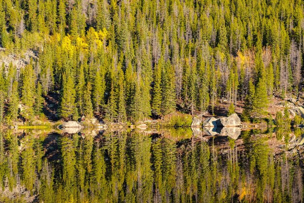 Foto bear lake rocky mountains colorado, vs