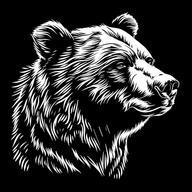 Photo bear vector style