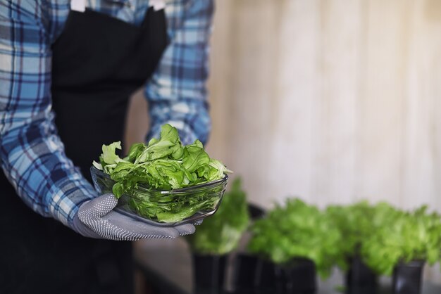 Foto l'uomo barbuto in grembiule e guanti tiene una ciotola di insalata verde fresca