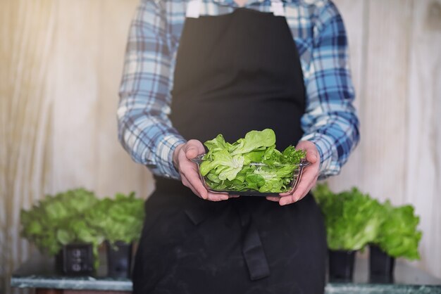 Bearded man in apron and gloves holds a bowl of fresh green salad