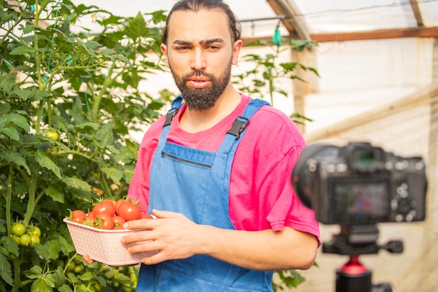 Bearded man holding tomato basket and looking at the camera at the greenhouse