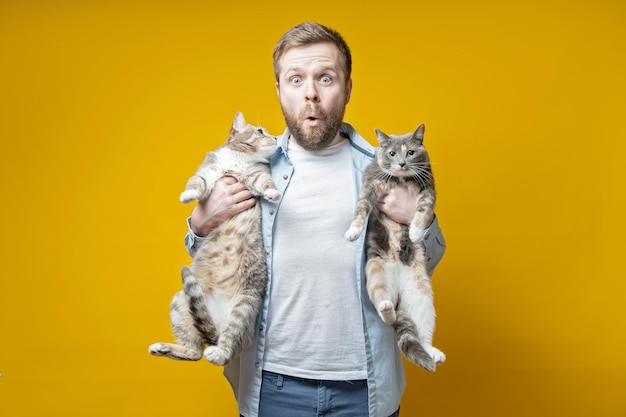 Bearded man the owner holds in hands two of his cute cats and looks in surprise