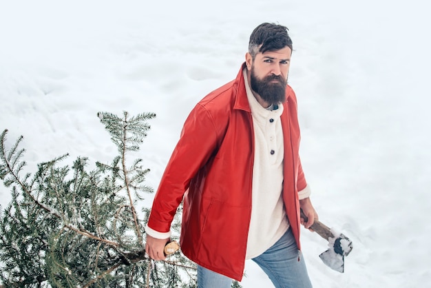 Bearded man with freshly cut down christmas tree in forest hipster woodsman with christmas tree