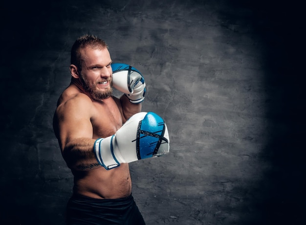 Bearded puncher in a boxer gloves over grey vignette background.