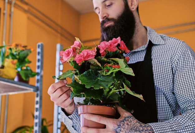 The bearded stylish flower seller holds pink roses in a market shop.