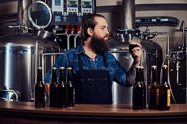 ジーンズのシャツを着たひげを生やした入れ墨のヒップスターの男性と醸造所の工場で働いているエプロンは、カウンターの後ろに立って、品質管理のためにクラフトビールを飲みます。