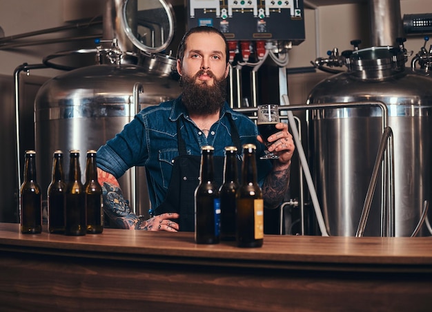 Bearded tattooed hipster male in a jeans shirt and apron working in a brewery factory, standing behind a counter, holds a glass of beer for quality control.