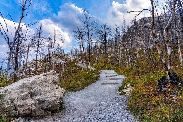 가을에 Kenow Wildfire 후 Bears Hump 하이킹 코스. Waterton Lakes National Park, Alberta, Canada.