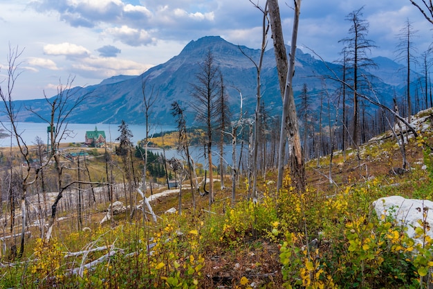 Bears hump-wandelpad na kenow wildfire in de herfst van 2020. waterton lakes national park, alberta, canada.