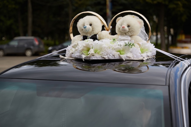 Photo bears on the roof of a car