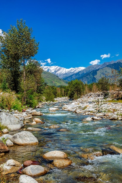 Beas rivier in kullu vallei himachal pradesh india