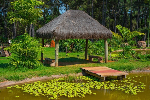 ブラジルのブラジリアにある植物園の美しい景色