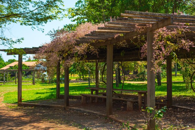 A beatiful view of Botanical Garden located in Brasilia Brazil