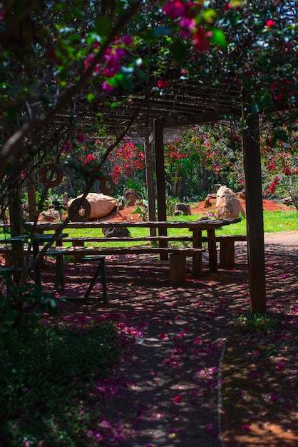 A beatiful view of Botanical Garden located in Brasilia Brazil