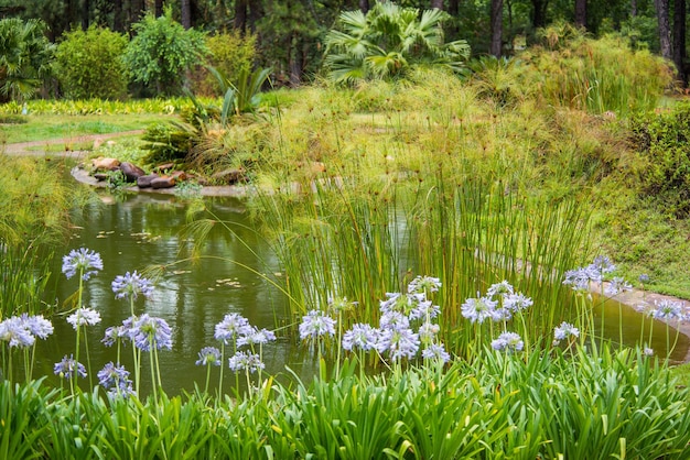 A beatiful view of Botanical Garden located in Brasilia Brazil