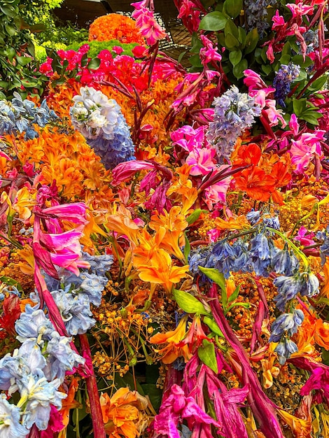 Foto bellissimi fiori diversi