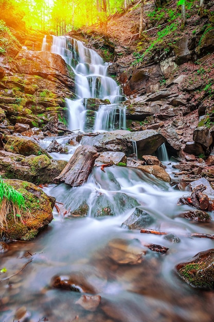 Beauriful waterfall in Carpathian forest