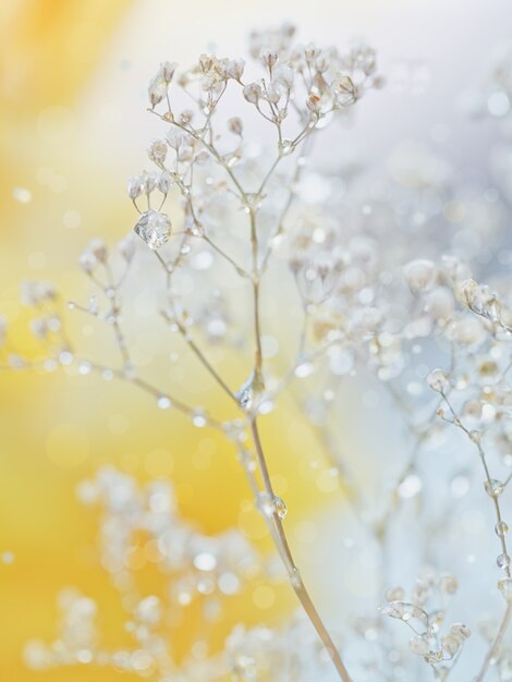 Bellissimo sfondo sfocato astratto morbido con fiori nei colori gialli e grigi