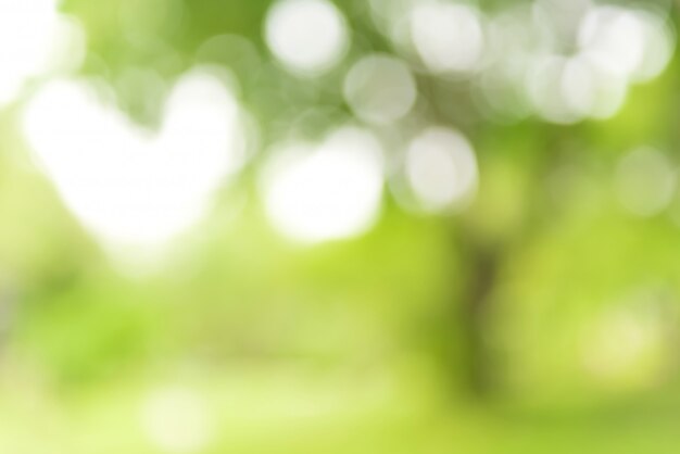 Beautiful abstract natural green blur background with white bokeh