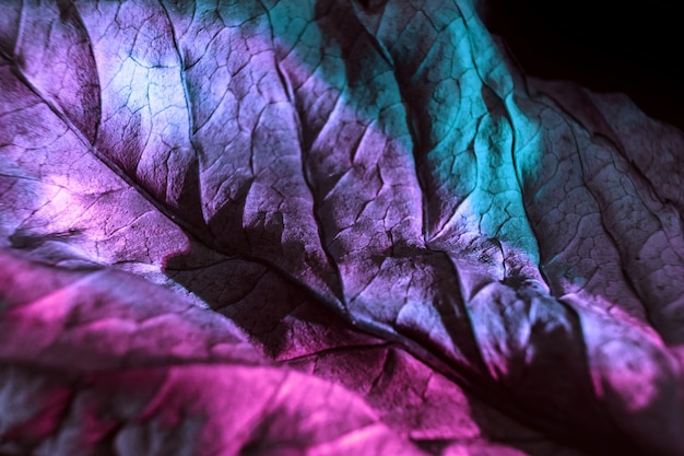 美しい抽象的な葉の質感 ネオンライト ミニマリズム レトロスタイルのコンセプト 背景パターン f