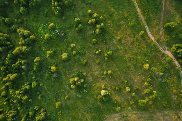 Beautiful aerial landscape on green backdrop Beautiful scenery Beautiful natural landscape Natural background Air transportation Aerial view Top view