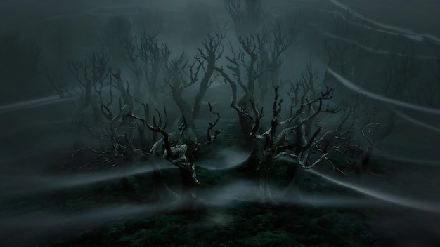 Beautiful aerial shot of a forest enveloped in creepy mist and fog