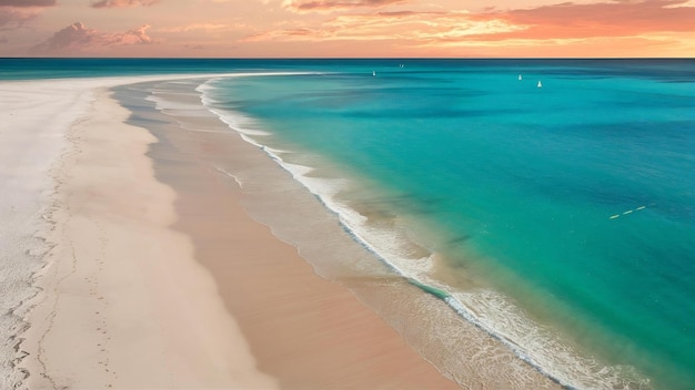 ビーチや海や海の美しい空中景色