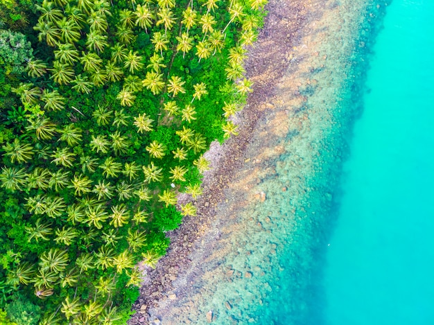 ココヤシのヤシの木を持つビーチと海の美しい航空写真