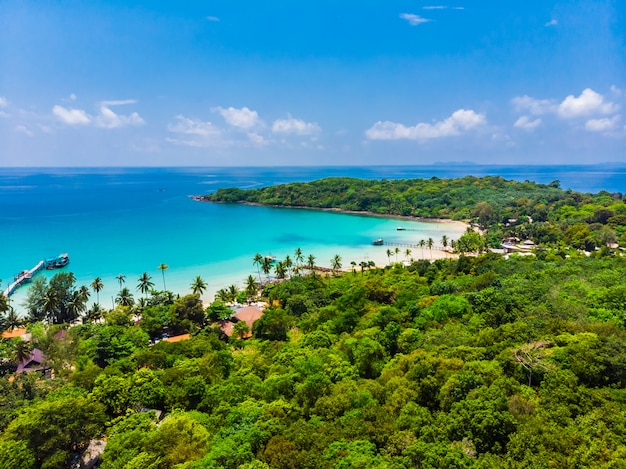 Beautiful Aerial view of beach and sea with coconut palm tree