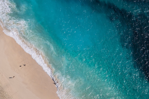 Premium Photo | Beautiful aerial view on the beach