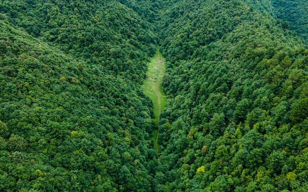 ネパール、カトマンズの緑の森の美しい空撮。